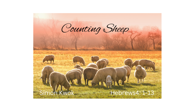 Counting Sheep