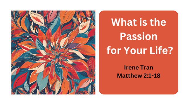 What is the Passion for Your Life?