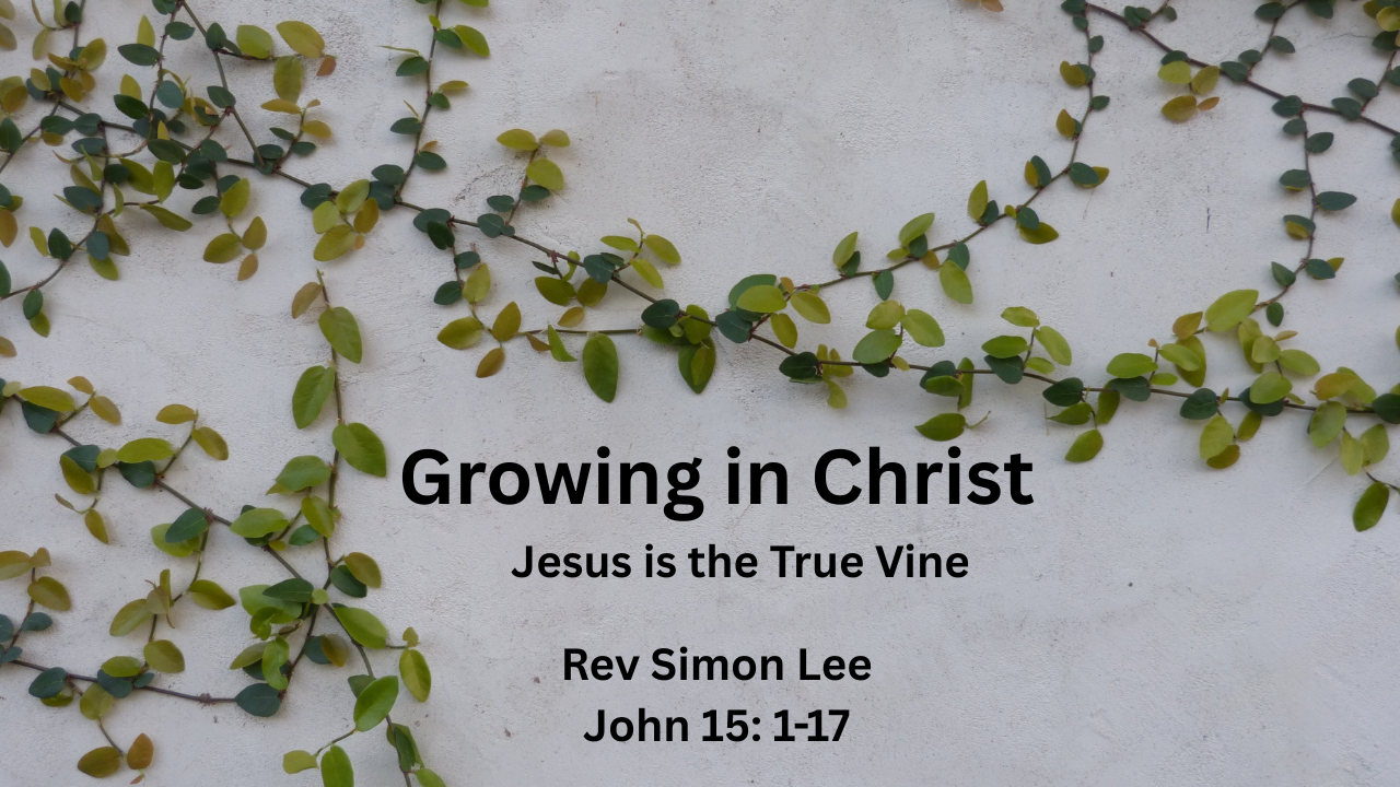 Growing in Christ: Jesus is the True Vine
